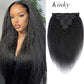 Clip ins